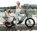 image_2025-04-01_091755757.webp